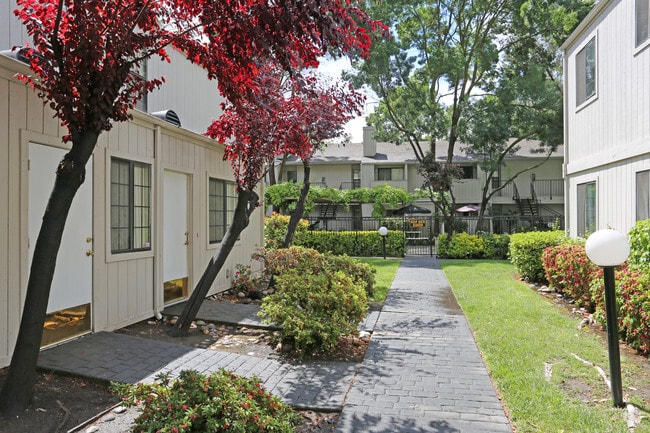 Exterior - Walkway