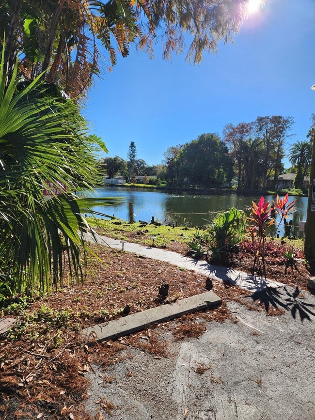 Photo - 558 Clearwater Largo Rd N Apartamentos Unidad A