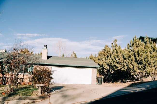 Photo - SMALL DOG FRIENDLY!!! Meadow Street House