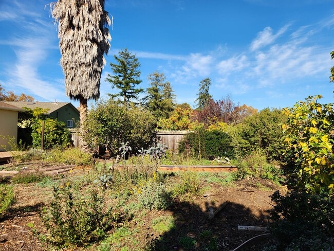 Photo - Two bedroom house in Redwood City