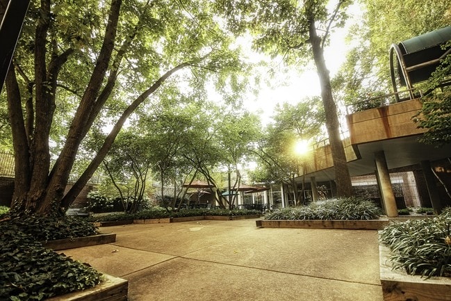 Courtyard with Gas Grills