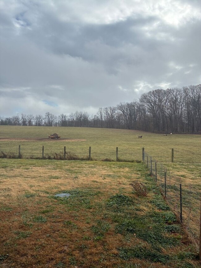 Photo - Single Family Home