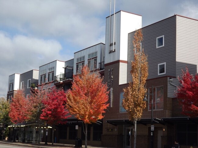 Beautiful Trees Outside Metropolitan Place Apartments