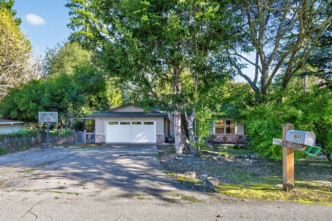 Photo - Charming 3-Bed / 2-Bath Retreat on Over an Acre in Sebastopol