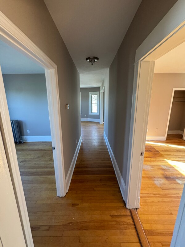 Photo - 2 Wilkinson St