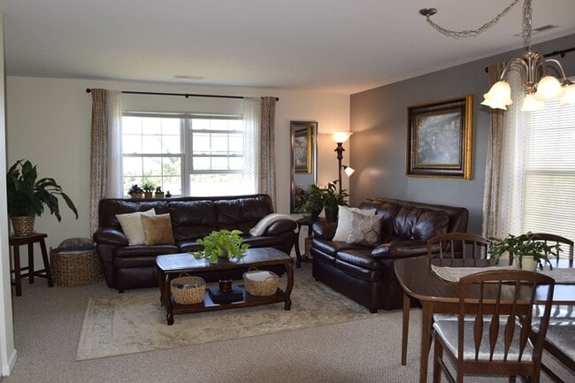 Photo - Shadow Pines