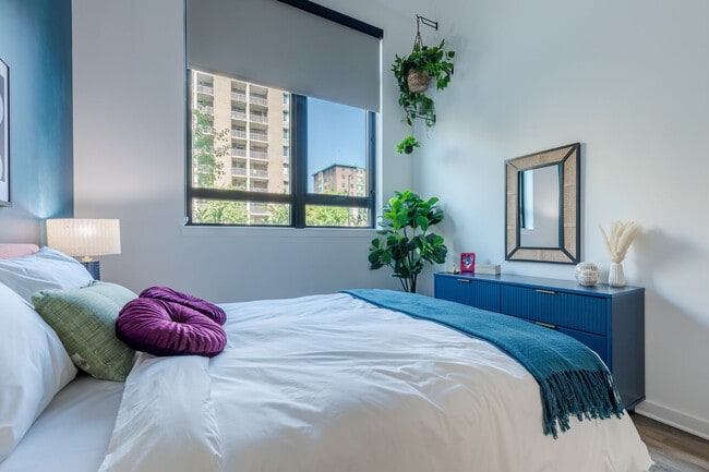 The Iris apartments — community photo