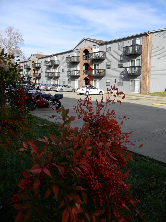 Mountain Valley Properties Carbondale Apartments Carbondale, IL