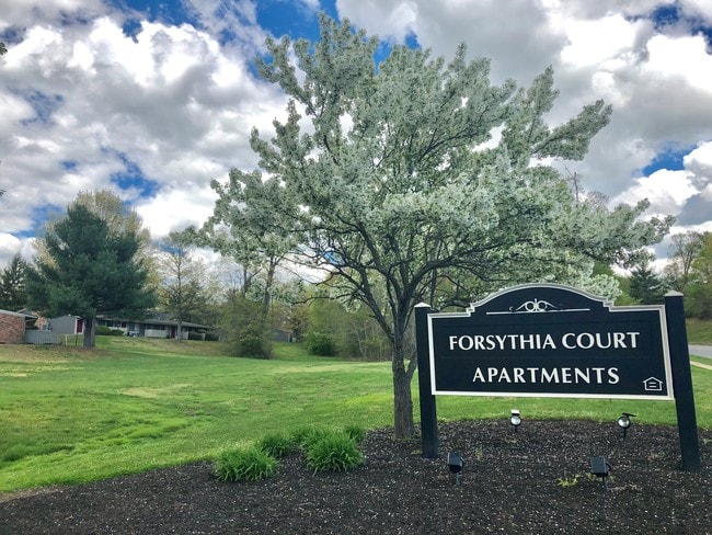 Photo - Forsythia Court