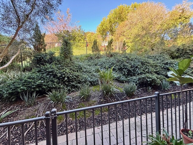 Photo - 2406 Torrey Pines Rd