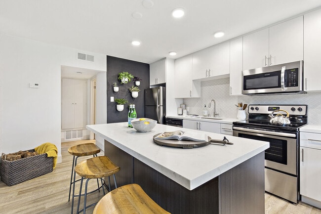 The Franciscan