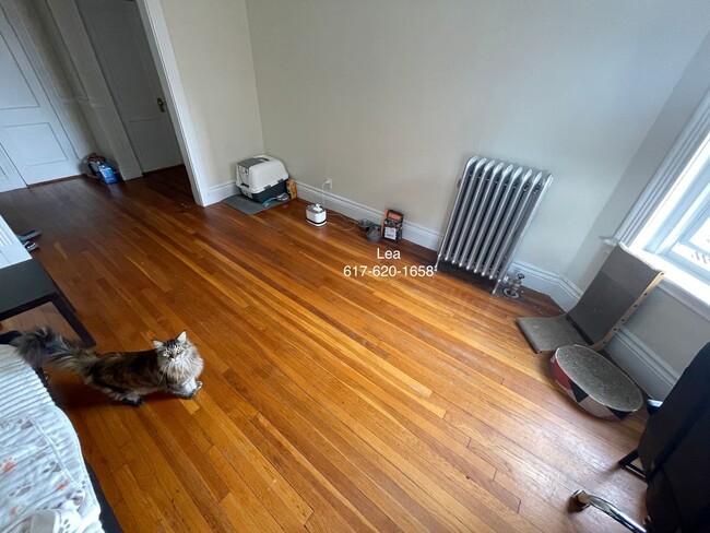 NO FEE***SEPT Incredible 1bed in Allston! ... - NO FEE***SEPT Incredible 1bed in Allston! ... Casa