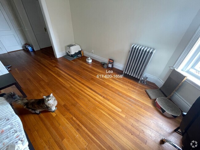 Building Photo - NO FEE***SEPT Incredible 1bed in Allston! ... Rental