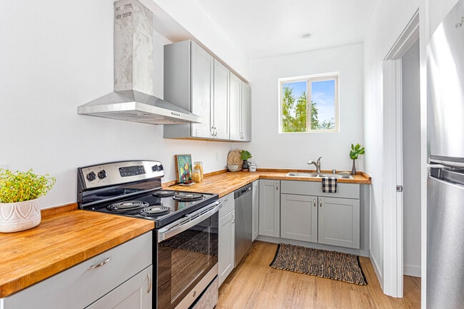 Photo - 2023 Salam Lp