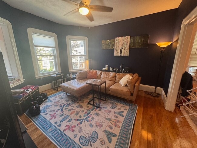 Photo - 145 Albion St