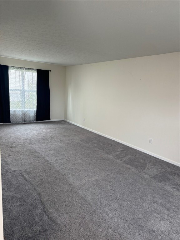 Photo - 3 Sweet Alysum Wy