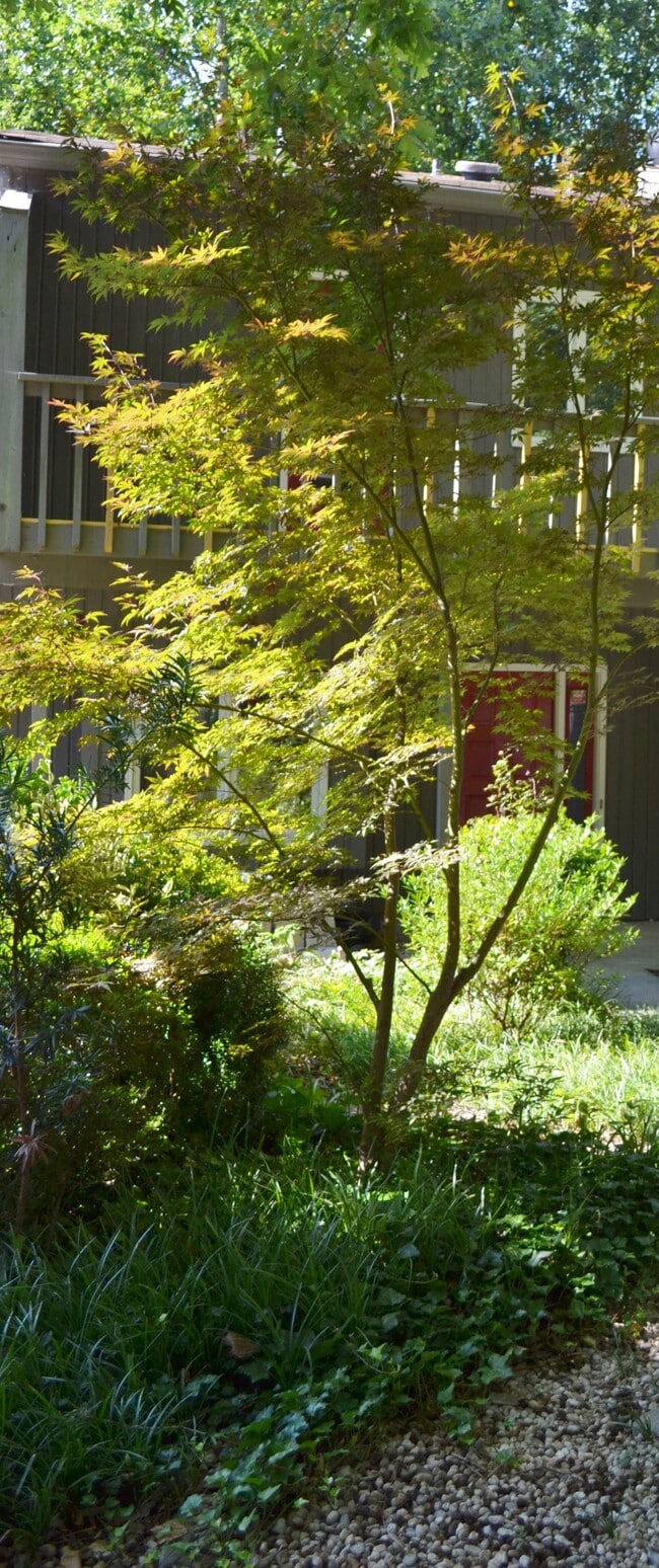 Photo - 4319 Sunscape Ln Townhome