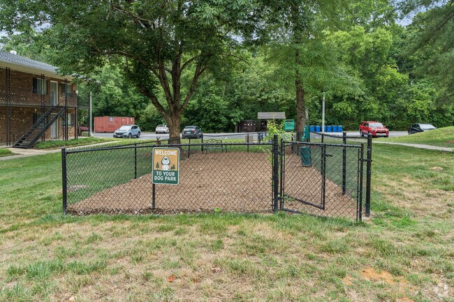Dog Park