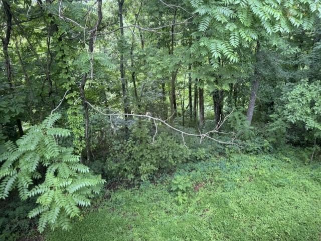 Photo - 625 Latti Reese Rd