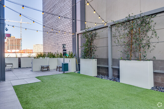 EL BACKYARD