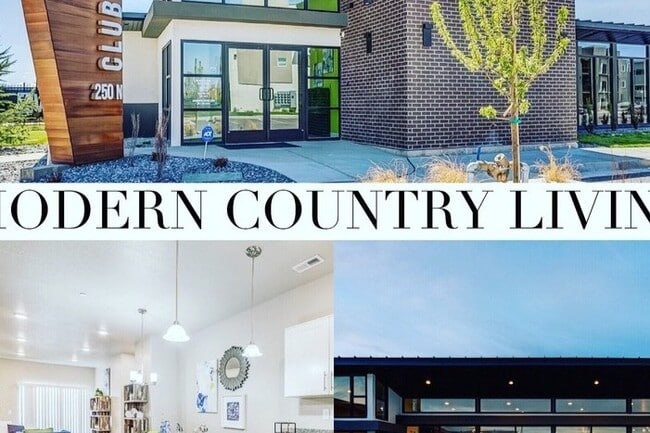 Photo - The Vine in Vineyard