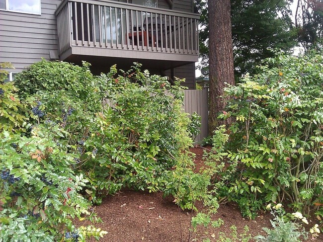 Photo - Hidden Gem in Northeast Seattle w/ In-Unit Washer/Dryer! Unit 102