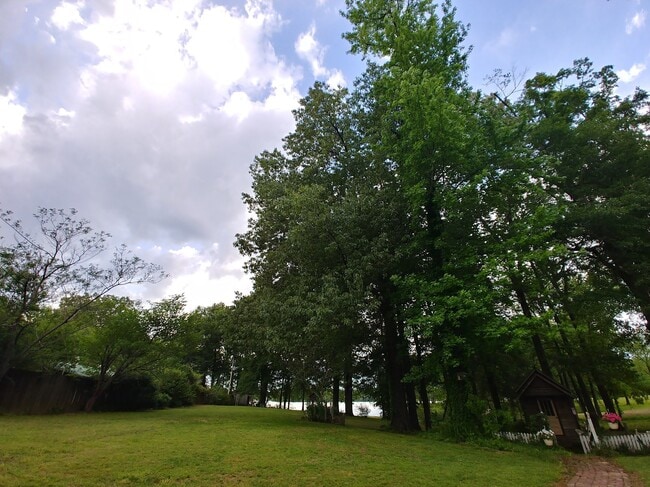 Photo - 23 Wilson Cove Rd