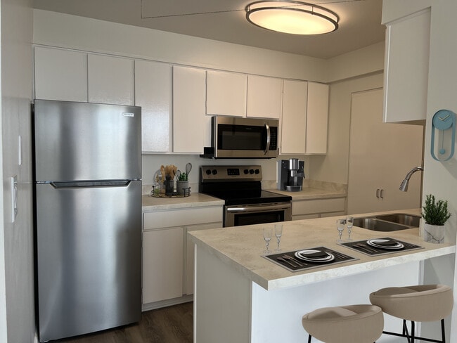 1 BR Apartment