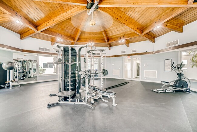 Photo - Spectra Palms