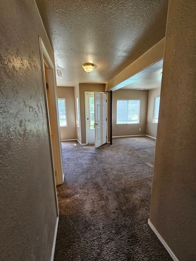 Photo - $1111 | 1BR/1BA | Cozy Lower Duplex Unit i...