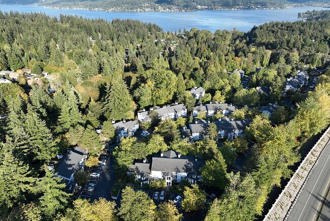 Sammamish View
