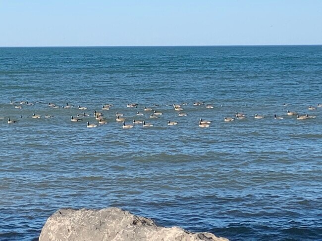 Photo - 6588 Shore Acres Dr