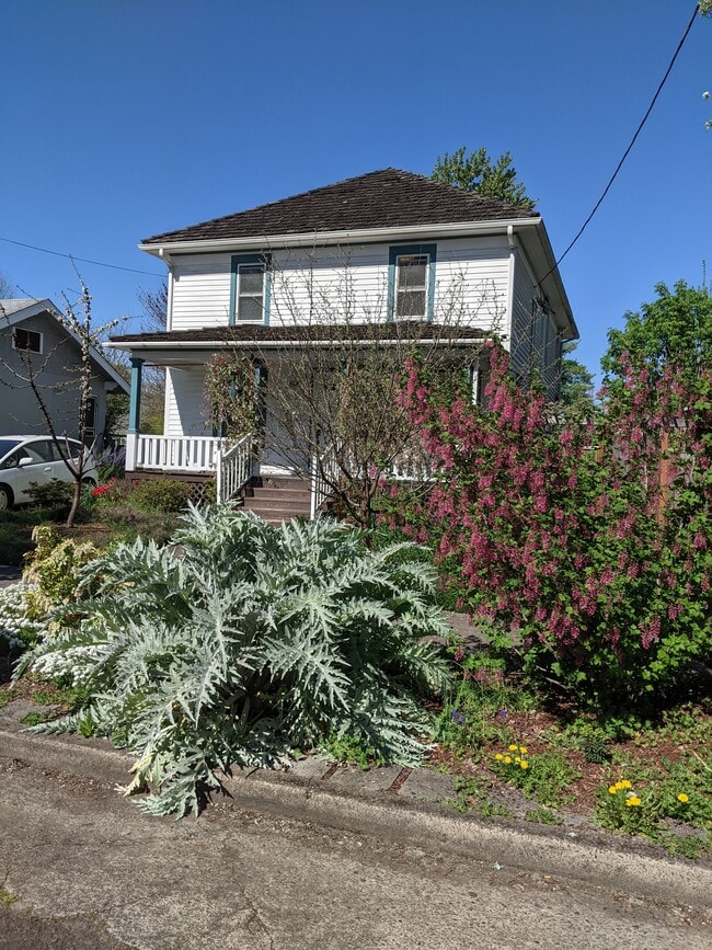 Curb View 2