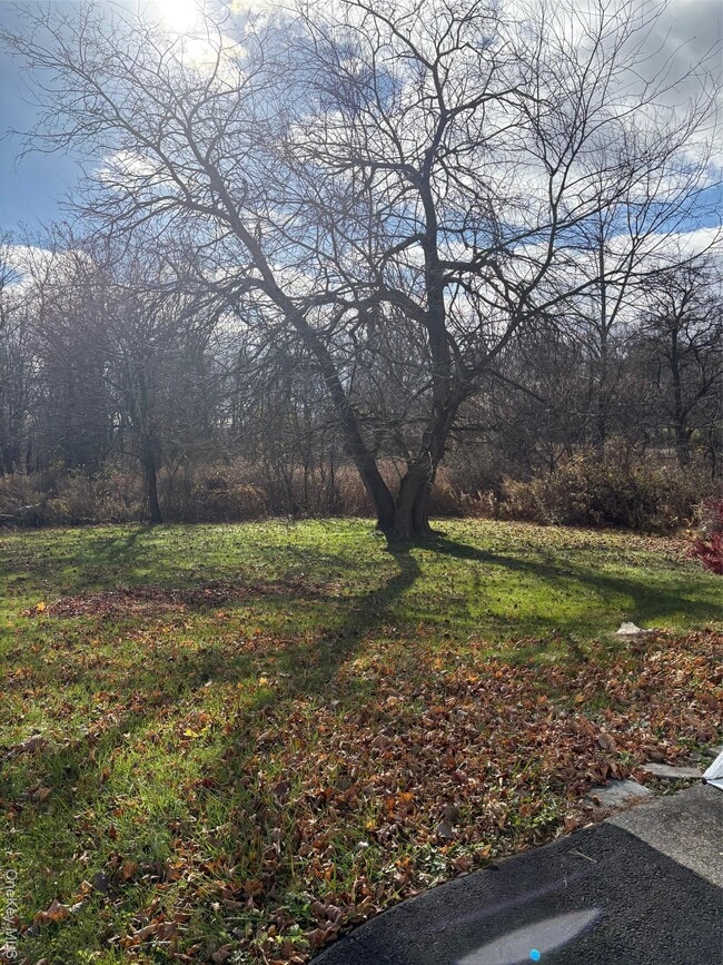 Photo - 58-60-60 Ridge Rd Unit 2