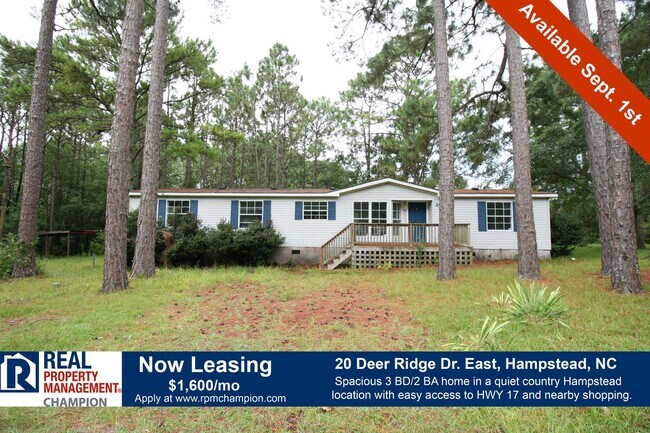 Building Photo - Quiet Country Location in Hampstead Rental
