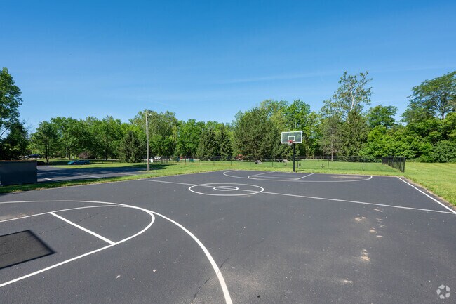 Basketball Court