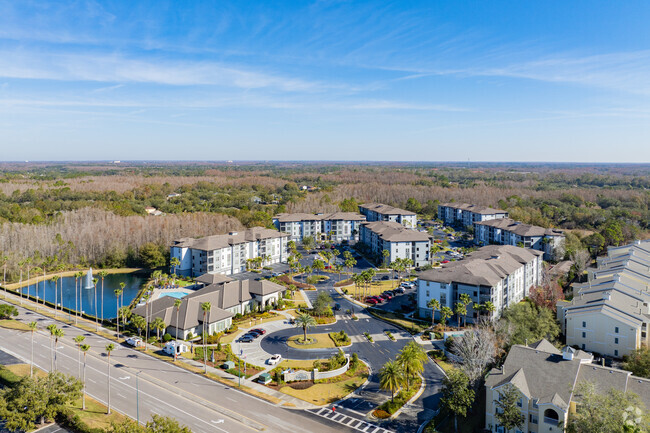 Aerial - The Oasis at Highwoods Preserve Rental