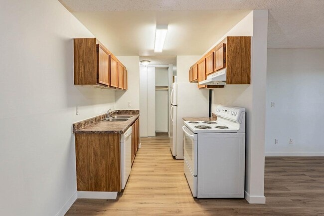 Photo - Christopher County