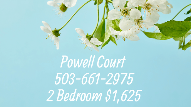Everything you’ve been dreaming of is here... - Everything you’ve been dreaming of is here... Apartment Unit 26