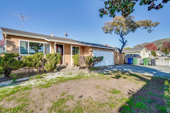 Photo - 1837 Burley Dr