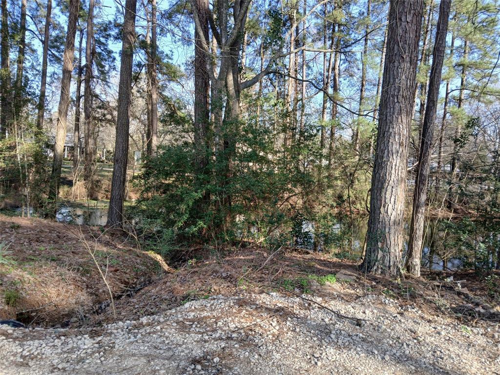 Photo - 26420 Leisure Ln House
