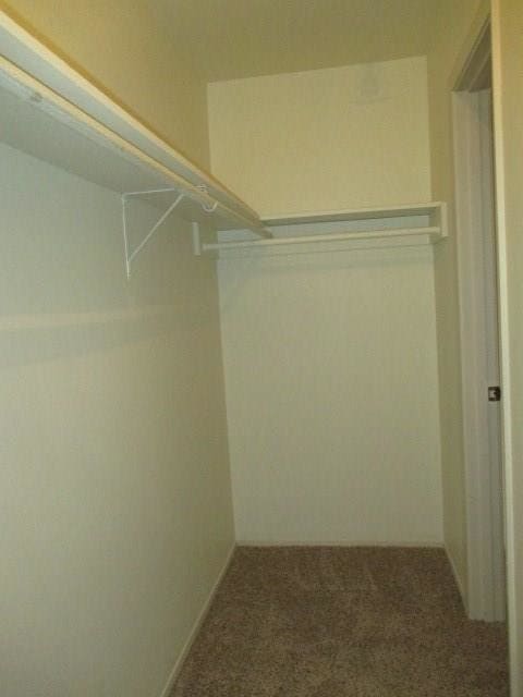 312 E 43rd St Unidad 204