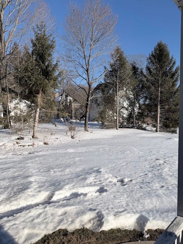 Photo - 79 Meadow St