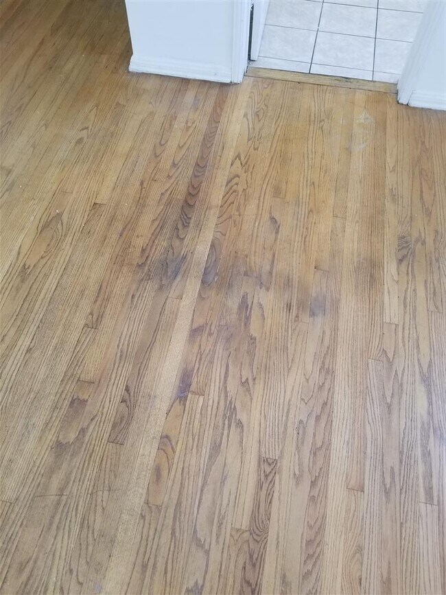 Photo - 2007 S Longwood Ave Unit 5