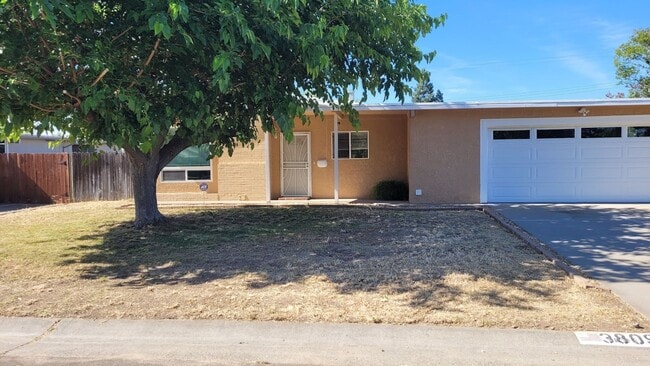 Building Photo - Cute 3 bedroom house in