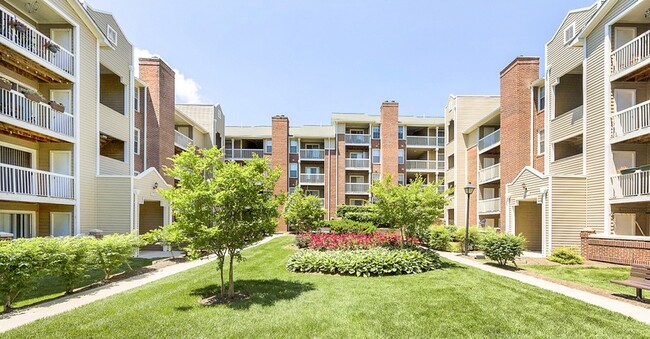 Sawyer Flats