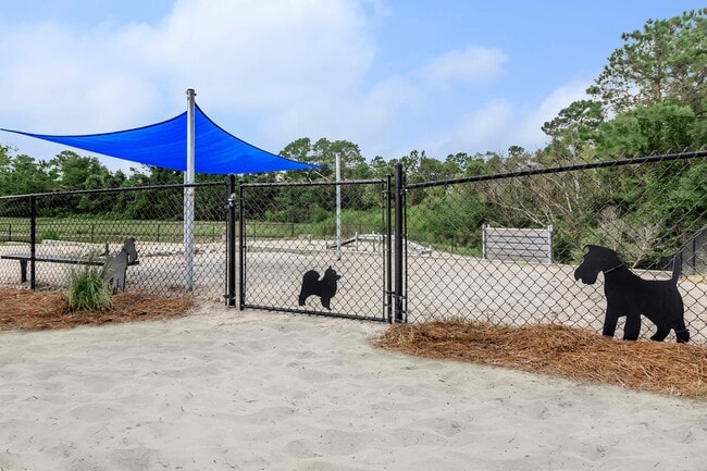 LET YOUR PETS ROMP AND PLAY