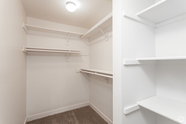 1BR Apollo - Walk-In Closet