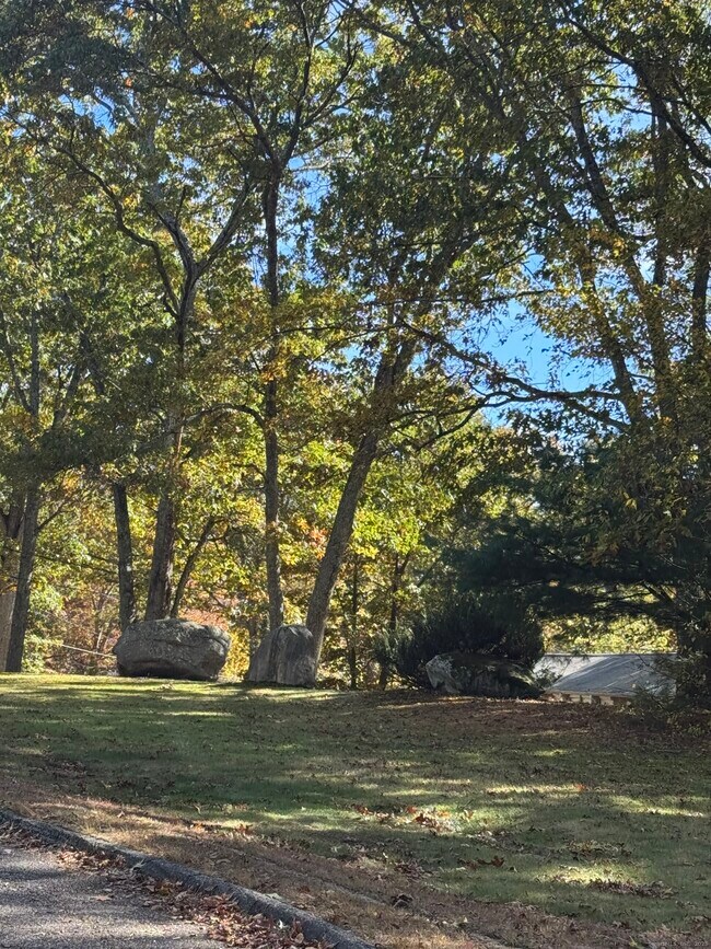 Photo - 20 Dartmouth Rd