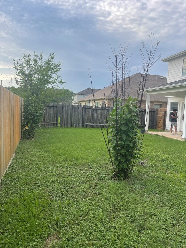 Photo - 16939 Watering Oaks Ln